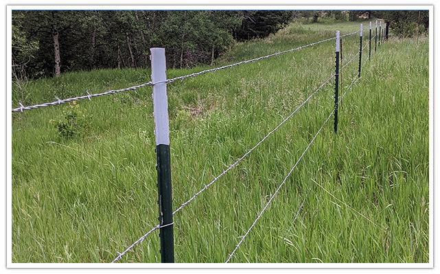 Boulder commercial barbed wire fence