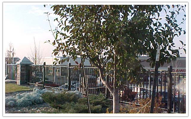 Commercial ornamental iron fence company in Loveland